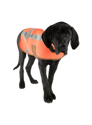 Carhartt Dog Vest Hi - Vis - Tool Monster