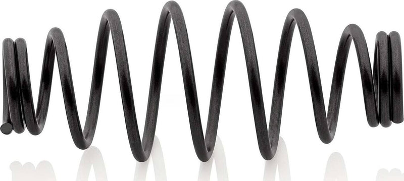 Spare barrel spring for 95 31 250/280 - Tool Monster